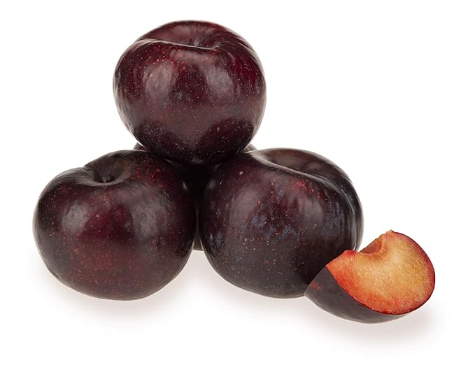 Plum